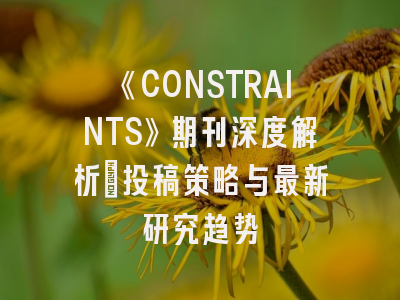 《CONSTRAINTS》期刊深度解析：投稿策略与最新研究趋势