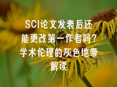SCI论文发表后还能更改第一作者吗？学术伦理的灰色地带解读