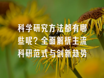 科学研究方法都有哪些呢？全面解析主流科研范式与创新趋势