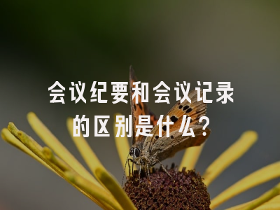 会议纪要和会议记录的区别是什么？