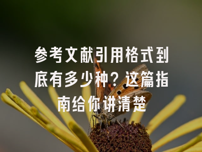 参考文献引用格式到底有多少种？这篇指南给你讲清楚