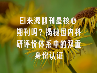 EI来源期刊是核心期刊吗？揭秘国内科研评价体系中的双重身份认证