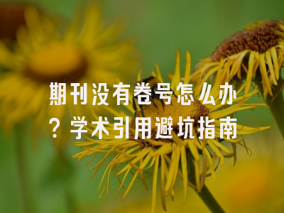 期刊没有卷号怎么办？学术引用避坑指南