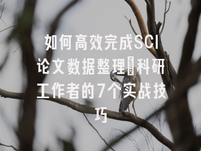 如何高效完成SCI论文数据整理：科研工作者的7个实战技巧