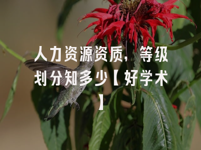 人力资源资质，等级划分知多少【好学术】