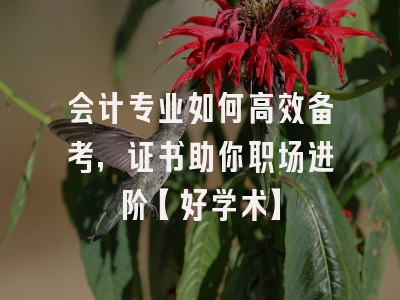 会计专业如何高效备考，证书助你职场进阶【好学术】