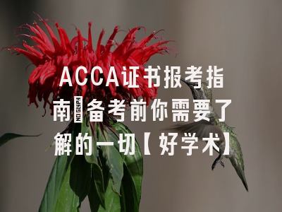 ACCA证书报考指南：备考前你需要了解的一切【好学术】