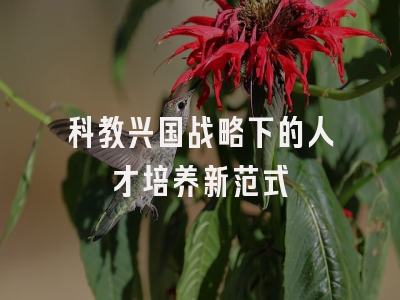 科教兴国战略下的人才培养新范式