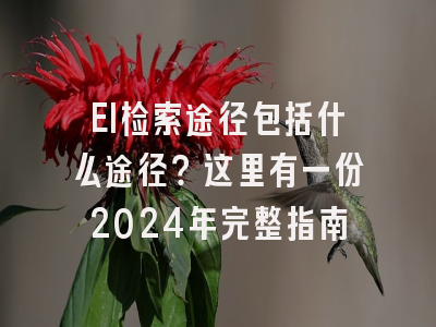 EI检索途径包括什么途径？这里有一份2024年完整指南