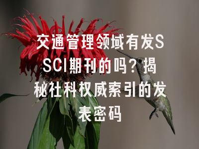 交通管理领域有发SSCI期刊的吗？揭秘社科权威索引的发表密码