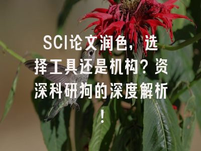 SCI论文润色，选择工具还是机构？资深科研狗的深度解析！