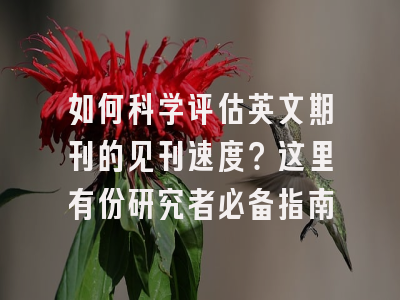 如何科学评估英文期刊的见刊速度？这里有份研究者必备指南