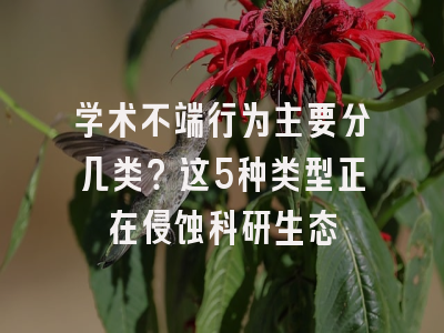 学术不端行为主要分几类？这5种类型正在侵蚀科研生态