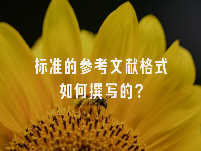 标准的参考文献格式如何撰写的？