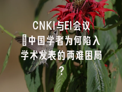 CNKI与EI会议：中国学者为何陷入学术发表的两难困局？