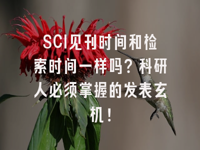 SCI见刊时间和检索时间一样吗？科研人必须掌握的发表玄机！