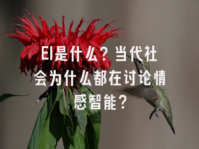 EI是什么？当代社会为什么都在讨论情感智能？