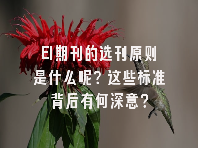 EI期刊的选刊原则是什么呢？这些标准背后有何深意？