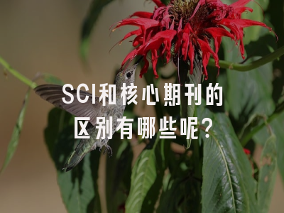 SCI和核心期刊的区别有哪些呢？