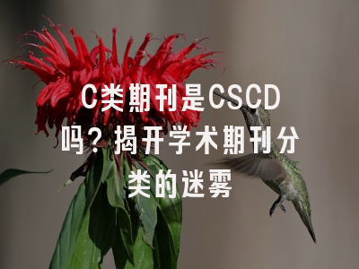 C类期刊是CSCD吗？揭开学术期刊分类的迷雾