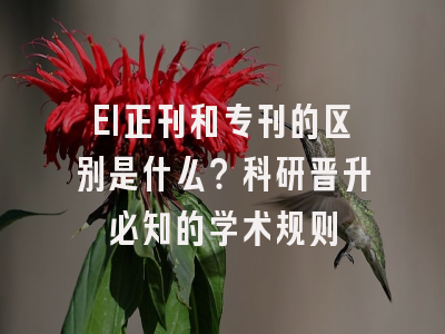 EI正刊和专刊的区别是什么？科研晋升必知的学术规则