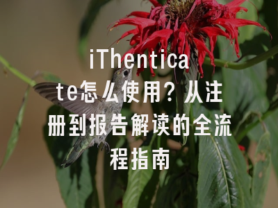 iThenticate怎么使用？从注册到报告解读的全流程指南