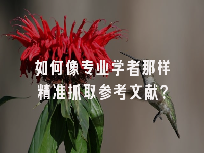 如何像专业学者那样精准抓取参考文献？