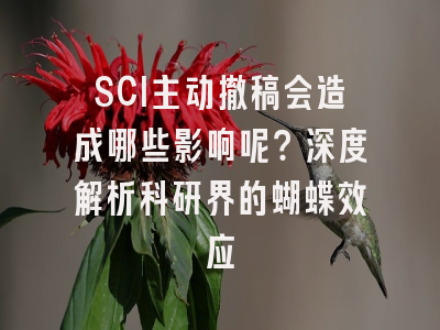 SCI主动撤稿会造成哪些影响呢？深度解析科研界的蝴蝶效应
