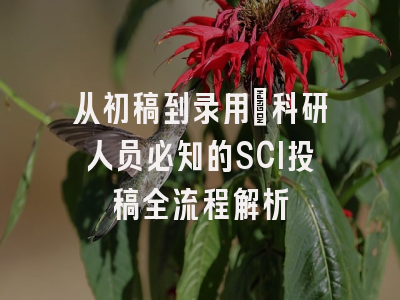 从初稿到录用：科研人员必知的SCI投稿全流程解析