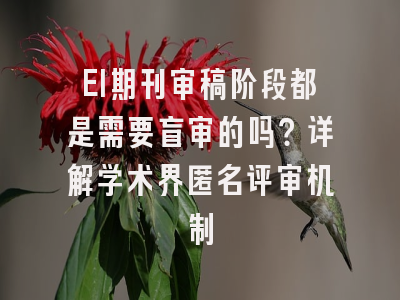 EI期刊审稿阶段都是需要盲审的吗？详解学术界匿名评审机制