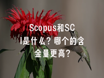 Scopus和SCI是什么？哪个的含金量更高？