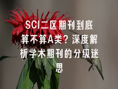 SCI二区期刊到底算不算A类？深度解析学术期刊的分级迷思