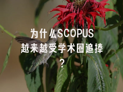 为什么SCOPUS越来越受学术圈追捧？