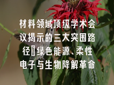 材料领域顶级学术会议揭示的三大突围路径：绿色能源、柔性电子与生物降解革命
