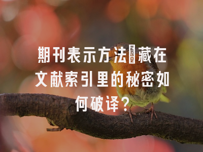期刊表示方法：藏在文献索引里的秘密如何破译？