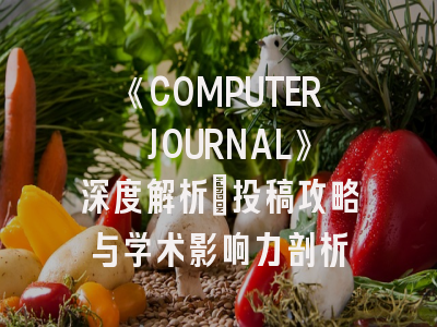 《COMPUTER JOURNAL》深度解析：投稿攻略与学术影响力剖析