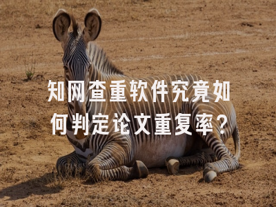 知网查重软件究竟如何判定论文重复率？