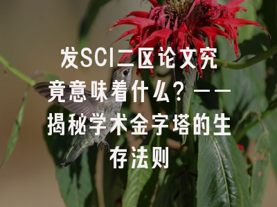 发SCI二区论文究竟意味着什么？——揭秘学术金字塔的生存法则