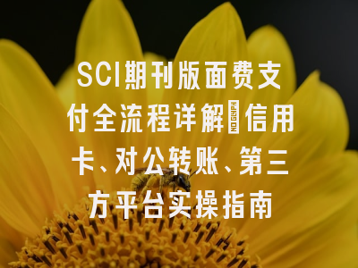 SCI期刊版面费支付全流程详解：信用卡、对公转账、第三方平台实操指南
