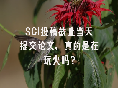 SCI投稿截止当天提交论文，真的是在玩火吗？