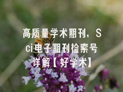 高质量学术期刊，Sci电子期刊检索号详解【好学术】