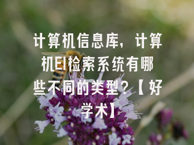 计算机信息库，计算机EI检索系统有哪些不同的类型？【好学术】