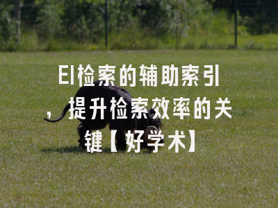EI检索的辅助索引，提升检索效率的关键【好学术】