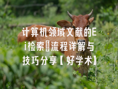 计算机领域文献的Ei检索：流程详解与技巧分享【好学术】