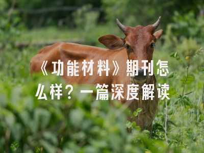 《功能材料》期刊怎么样？一篇深度解读