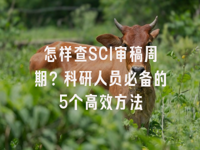 怎样查SCI审稿周期？科研人员必备的5个高效方法