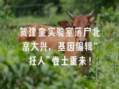 贺建奎实验室落户北京大兴，基因编辑“狂人”卷土重来！