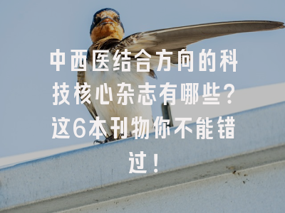 中西医结合方向的科技核心杂志有哪些？这6本刊物你不能错过！