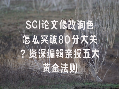 SCI论文修改润色怎么突破80分大关？资深编辑亲授五大黄金法则