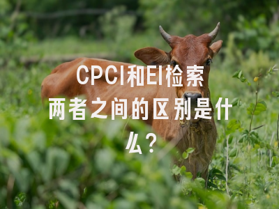 CPCI和EI检索两者之间的区别是什么？